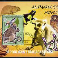 Madagascar 1999 Animals of the World #11 perf m/sheet showing Lemur #5 with Rotary Logo, background shows Owl, Fungi, Frog & Orchid, fine cto used