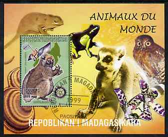 Madagascar 1999 Animals of the World #11 perf m/sheet showing Lemur #5 with Rotary Logo, background shows Owl, Fungi, Frog & Orchid, fine cto used