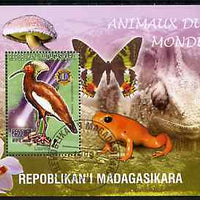 Madagascar 1999 Animals of the World #18 perf m/sheet showing Lampira with Lions Int Logo, background shows Frog, Butterfly, Reptile, Fungi & Orchid, fine cto used