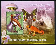 Madagascar 1999 Animals of the World #18 perf m/sheet showing Lampira with Lions Int Logo, background shows Frog, Butterfly, Reptile, Fungi & Orchid, fine cto used