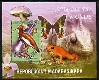 Madagascar 1999 Animals of the World #18 perf m/sheet showing Lampira with Lions Int Logo, background shows Frog, Butterfly, Reptile, Fungi & Orchid, fine cto used