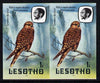 Lesotho 1981 Kestrel 1s def in unmounted mint imperf pair* (SG 437)