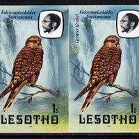 Lesotho 1981 Kestrel 1s def in unmounted mint imperf pair* (SG 437)