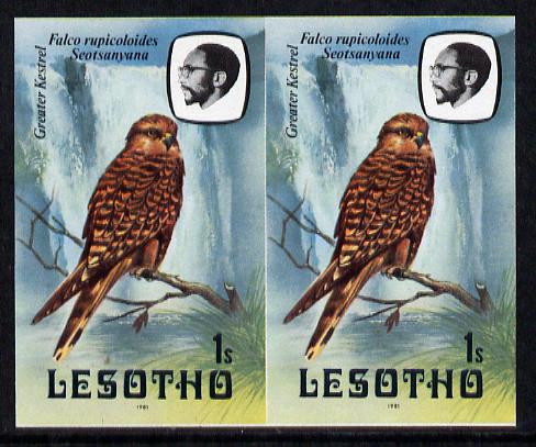Lesotho 1981 Kestrel 1s def in unmounted mint imperf pair* (SG 437)
