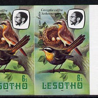 Lesotho 1981 Cape Robin Chat 6s def in unmounted mint imperf pair (as SG 441)*