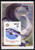 Congo 2005 Dinosaurs #02 - Coccosteus imperf m/sheet with Scout & Rotary Logos, background shows various Fish unmounted mint