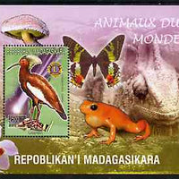 Madagascar 1999 Animals of the World #18 perf m/sheet showing Lampira with Lions Int Logo, background shows Frog, Butterfly, Reptile, Fungi & Orchid, unmounted mint