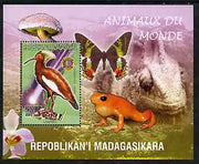 Madagascar 1999 Animals of the World #18 perf m/sheet showing Lampira with Lions Int Logo, background shows Frog, Butterfly, Reptile, Fungi & Orchid, unmounted mint