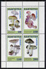 Kamchatka Republic 1999 ? Fungi perf sheetlet containing complete set of 4 values (green frame) unmounted mint