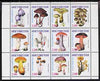 Ingushetia Republic 1998 Fungi perf sheetlet containing complete set of 12 values unmounted mint