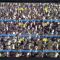 Ukranian Antarctic Post 1998 Penguins #2 perf sheetlet containing set of 9 values unmounted mint