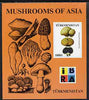 Turkmenistan 1999 Mushrooms of Asia #1 imperf m/sheet with IBRA imprint unmounted mint