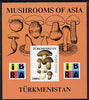 Turkmenistan 1999 Mushrooms of Asia #2 imperf m/sheet with IBRA imprint unmounted mint