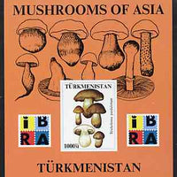 Turkmenistan 1999 Mushrooms of Asia #2 imperf m/sheet with IBRA imprint unmounted mint