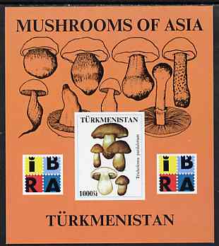 Turkmenistan 1999 Mushrooms of Asia #2 imperf m/sheet with IBRA imprint unmounted mint