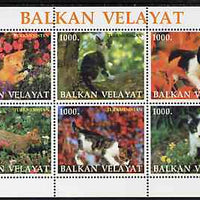 Turkmenistan (Balkan Velayat) 1999 ? Domestic Cats perf sheetlet containing 6 values unmounted mint
