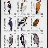 Tadjikistan 1999 Woodpeckers imperf sheetlet containing complete set of 9 values unmounted mint