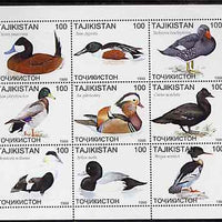 Tadjikistan 1999 Ducks perf sheetlet containing complete set of 9 values unmounted mint