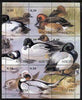 Abkhazia 2000 Ducks perf composite sheetlet containing 9 values unmounted mint
