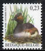 Belgium 2002-09 Birds #5 Black-Necked Grebe 0.23 Euro unmounted mintf SG 3697a