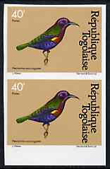 Togo 1981 Sunbird 40f imperf pair from Birds set unmounted mint, as SG 1530