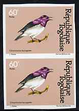 Togo 1981 Starling 60f imperf pair from Birds set unmounted mint, as SG 1531