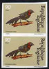 Togo 1981 Whydah 90f imperf pair from Birds set unmounted mint, as SG 1532
