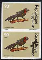Togo 1981 Whydah 90f imperf pair from Birds set unmounted mint, as SG 1532