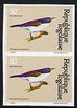Togo 1981 Sunbird 50f imperf pair from Birds set unmounted mint, as SG 1533