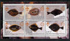 Congo 2002 Fish #3 (flat fish) perf sheetlet containing set of 6 values, each with Scouts & Guides Logos unmounted mint