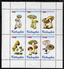 Kalmikia Republic 1998 Fungi #3 perf sheetlet containing complete set of 6 values unmounted mint