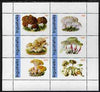 Ingushetia Republic 1998 Fungi #2 perf sheetlet containing complete set of 6 values unmounted mint