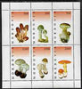 Mordovia Republic 1998 Fungi #2 perf sheetlet containing complete set of 6 values unmounted mint