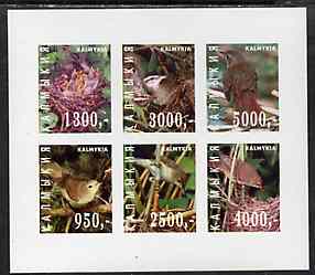 Kalmikia Republic 1998 Birds imperf sheetlet containing complete set of 6 values unmounted mint