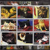 Tadjikistan 2000 Domestic Cats perf sheetlet containing 9 values unmounted mint