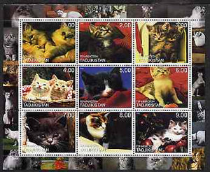 Tadjikistan 2000 Domestic Cats perf sheetlet containing 9 values unmounted mint