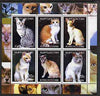 Kyrgyzstan 2000 Domestic Cats #3 perf sheetlet containing 6 values unmounted mint