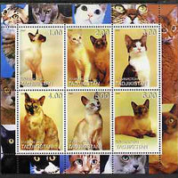 Tadjikistan 2000 Domestic Cats #1 perf sheetlet containing 6 values unmounted mint (vertical format)