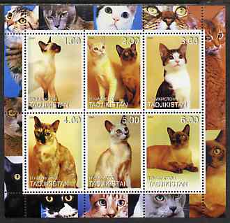 Tadjikistan 2000 Domestic Cats #1 perf sheetlet containing 6 values unmounted mint (vertical format)