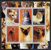 Turkmenistan 2000 Domestic Cats #1 perf sheetlet containing 6 values unmounted mint