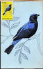 Nagaland 1969 Blue-Backed Fairy Bluebird - original hand-painted artwork as used for 50c (except branch outline has been changed) on board 110 mm x 180 mm complete with issued stamp
