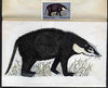 Nagaland 1969 Hog Badger - original hand-painted artwork as used for 5c (except grass outline has been changed) on board 180 mm x 110 mm complete with issued stamp