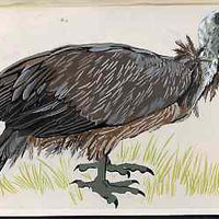 Nagaland 1969 Griffin Vulture - original hand-painted artwork as considered for 1969 Wildlife set but ultimately rejected, on board 180 mm x 110 mm.