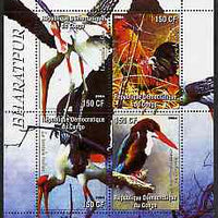 Congo 2004 Birds - Bharatpur perf sheetlet containing 4 values unmounted mint