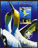 Congo 2004 Birds - La Cote Atlantique perf s/sheet with Scout Logo in background unmounted mint