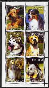Turkmenistan 1999 Dogs perf sheetlet containing 6 values unmounted mint