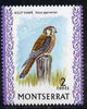 Montserrat 1970-74 American Kestral 2c on chalky paper unmounted mint, SG 243