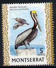 Montserrat 1970-74 Brown Pelican 5c on chalky paper unmounted mint, SG 246