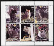 Karakalpakia Republic 1998 Domestic cats #2 perf sheetlet containing set of 6 values unmounted mint