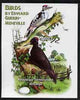 Congo 2005 Birds by Guerin-Meneville (Woodpeckers) imperf m/sheet unmounted mint